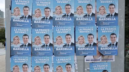 Des affiches électorales du Rassemblement national, le 2 juin 2024 à Paris. (STEPHANE DE SAKUTIN / AFP)
