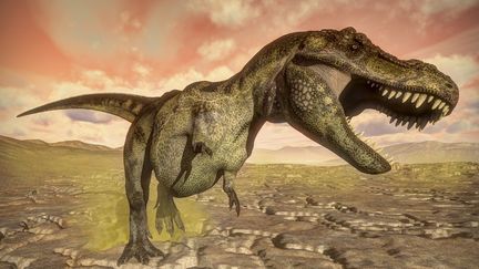 Le T-rex, l'un des plus grands dinosaures carnivores, il y a environ 68 millions d'années, était aussi plus intelligent qu'on ne le croyait. (Illustration) (STOCKTREK IMAGES / GETTY IMAGES)