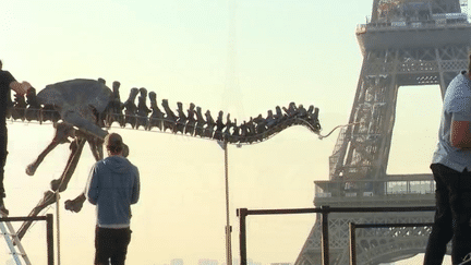 Paris : un squelette de dinosaure exposé en pleine ville (France 2)