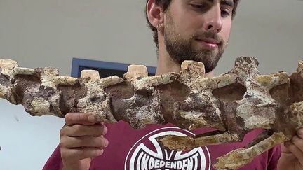 Hérault : un féru d'archéologie découvre un squelette de dinosaure en forêt (France 2)
