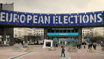 Élections européennes : plusieurs listes écologistes lors du scrutin (franceinfo)