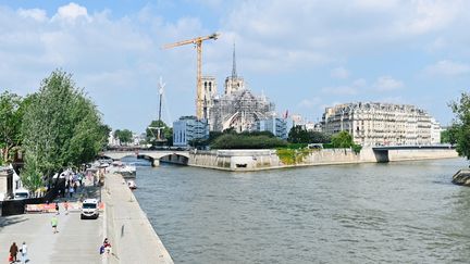 La Seine, à Paris, le 25 mai 2024. (ADRIEN FILLON / HANS LUCAS / AFP)