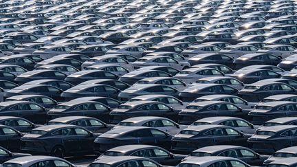 Parking d'une usine de Changan Auto dans la municipalité de Chongqing, dans le sud-ouest de la Chine, le dimanche 24 mars 2024. (LI HONGBO / MAXPPP)