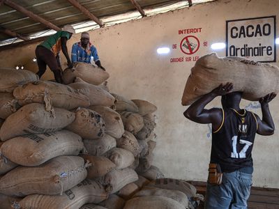 Workers load sacks of cocoa beans in a warehouse