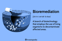 Bioremediation: A branch of biotechnology that employs the use of living organisms to decontaminate affected areas.