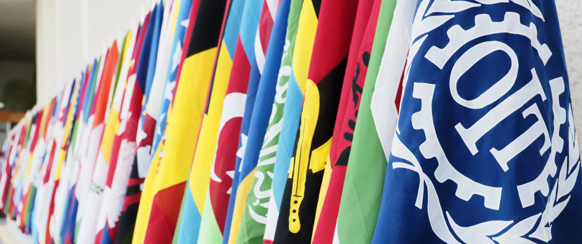 ILO member States flags