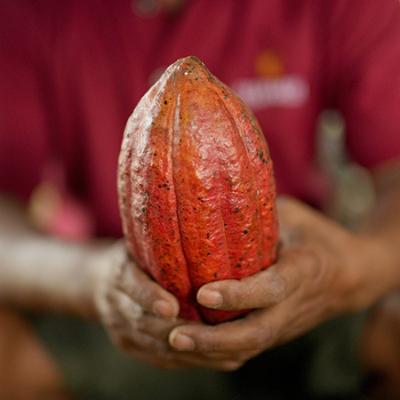 Record cocoa prices and the unfair chocolate value chain – meet the entrepreneurs working to change things