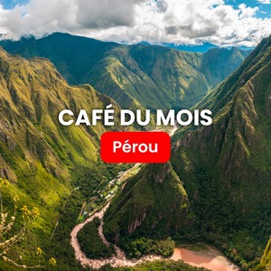 Direction l'Amérique latine et précisément le Pérou, l’un des acteurs majeurs de l’exportation de café équitable 🇵🇪
On vous présente aujourd'hui notre café en grains de spécialité ☕️ 👉

#malongo #cafesmalongo #cafe #coffee #coffeelovers #perou