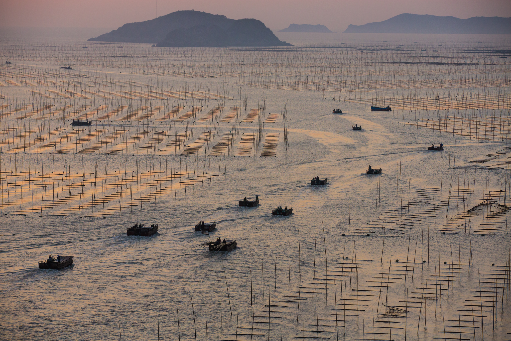Picture of seaweed farmers on China's Fujian coast