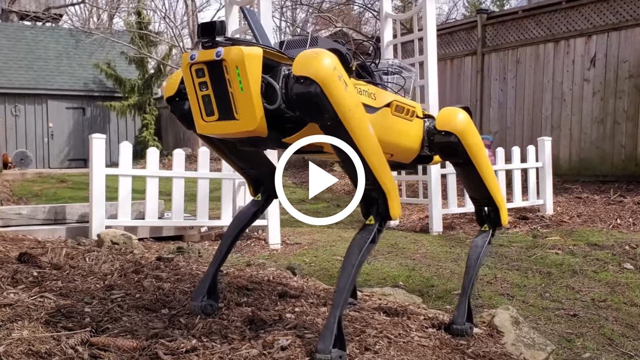 Robot Dog Fetches Snacks Across Town