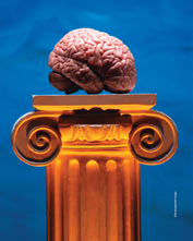 L'Humanologue - numéro 4 - page 26 : Cerveau : en 150 d’explorations, qu’avons-nous appris ?
