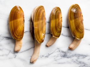 Four Pacific razor clams in their shells on a marble slab.