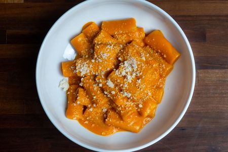 A white bowl filled with rigatoni alla vodka topped with parmesan.