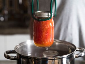 A jar of processed tomatoes being removed from a water bath with a pair of jar tongs.