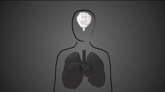 How air pollution impacts your body