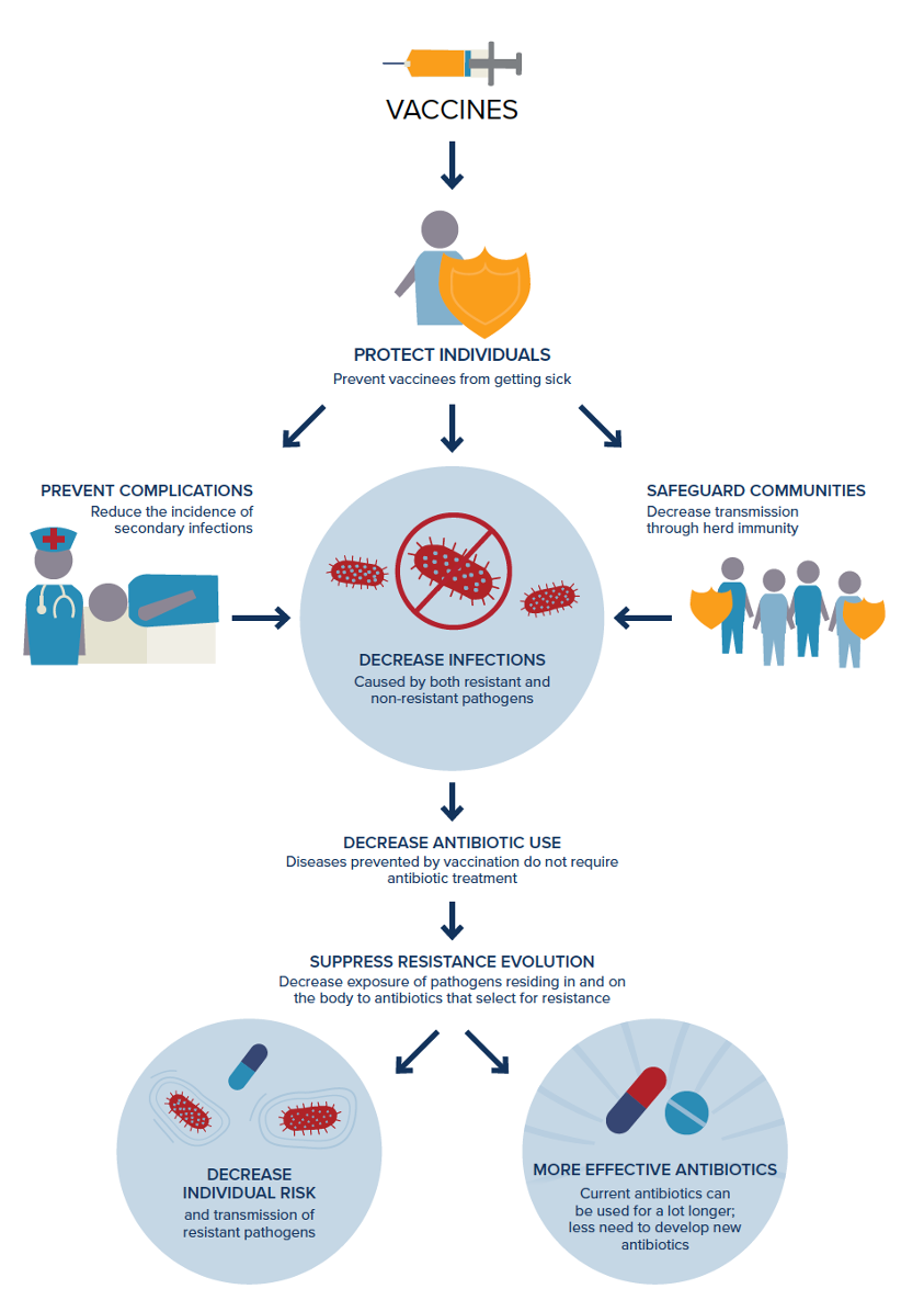 Figure 1. How do vaccines help to prevent Antimicrobial resistance?