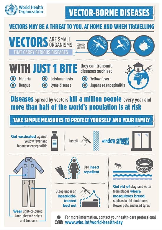 vector-borne-diseases-infographics