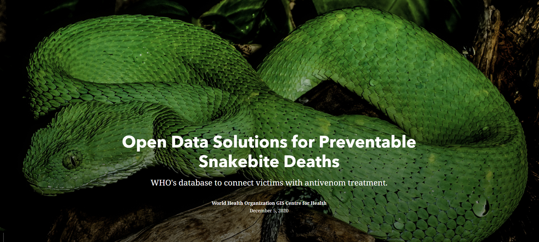 Open Data Solutions for Preventable Snakebite Deaths