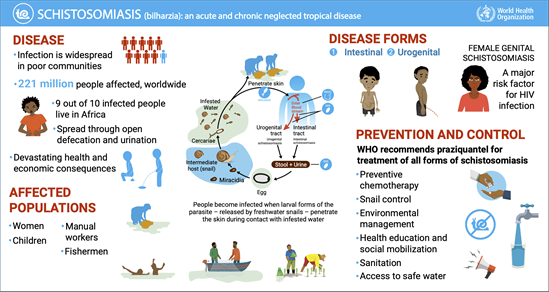Schistosomiasis-an acute and chronic neglected tropical disease
