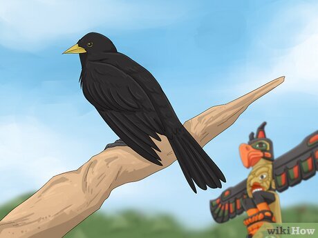 Step 1 In Native American cultures, blackbird totems represent great leaders.
