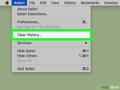 Step 3 Click Clear History.