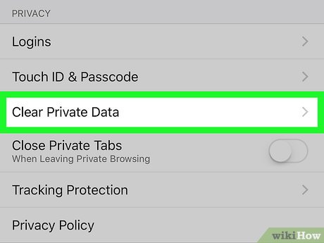 Step 4 Scroll down and tap Clear Private Data.