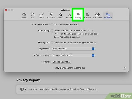 Step 4 Click the Privacy tab.