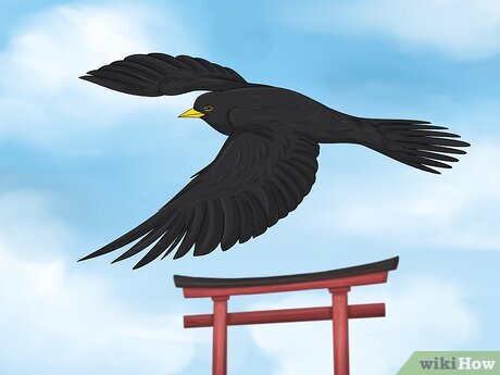 Step 6 In Japan, blackbirds are a sign of good luck.