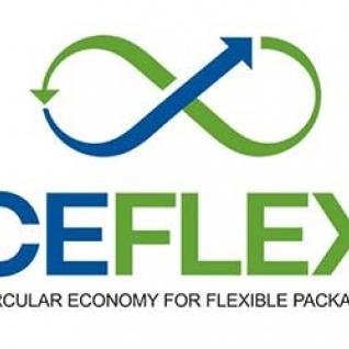 CEFLEX logo 