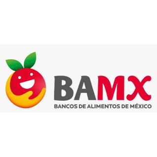 BAMX - BANCOS DE ALIMENTOS DE MEXICO (BAMX)