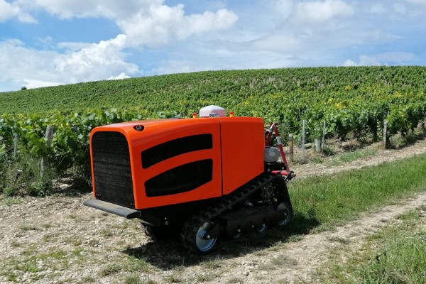 Le robot chenillard autonome Céol dans les vignes dès le printemps