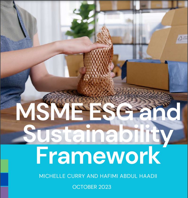 MSME ESG and Sustainability Framework