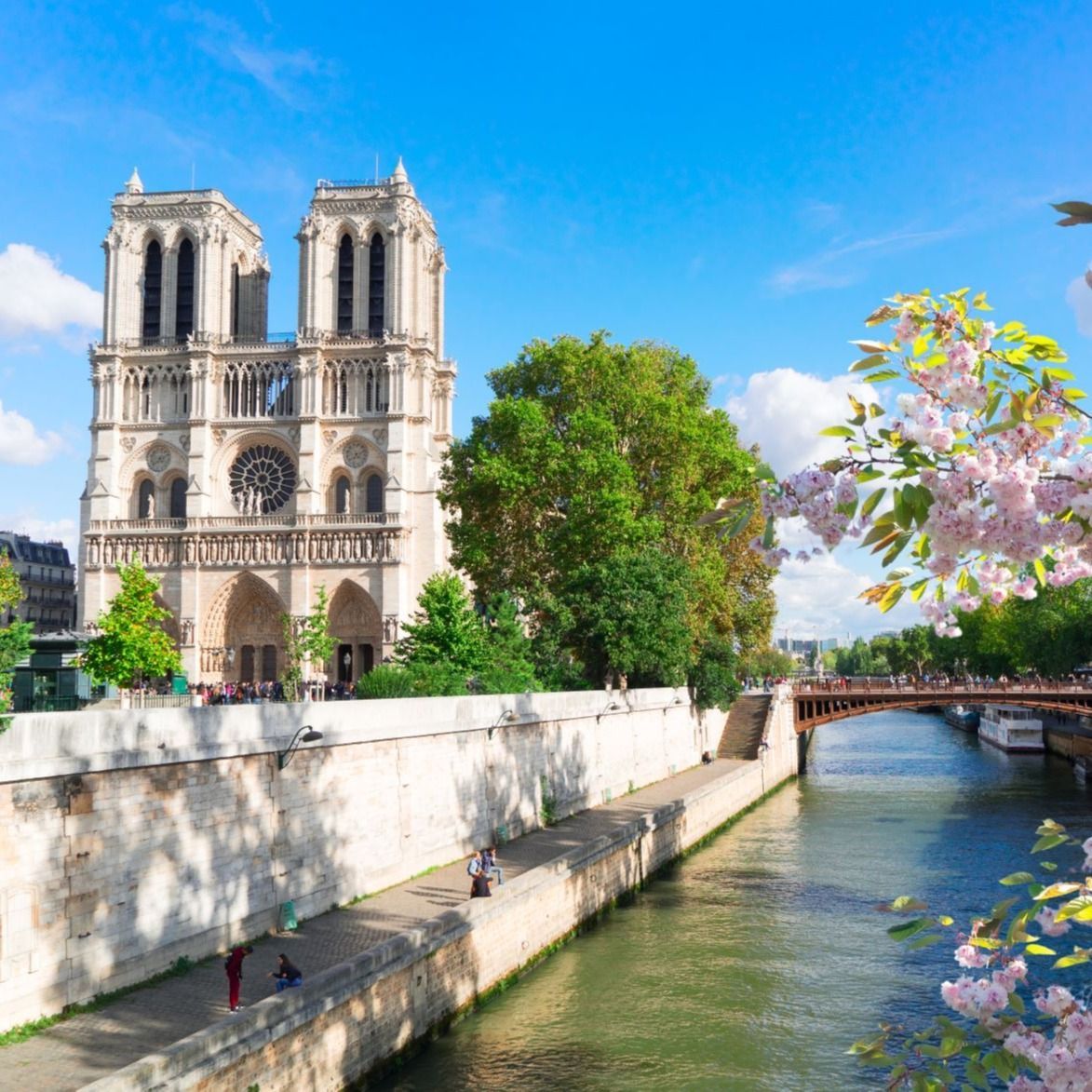 Notre-Dame de Paris et les rives de la Seine.