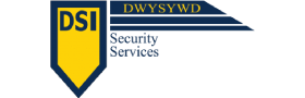 DSI Security logo