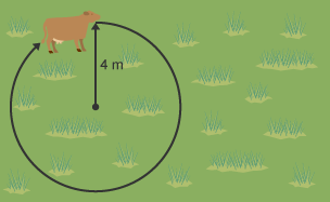Cow following a locus path with a radius of 4m