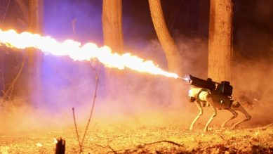 flame-throwing robot dog