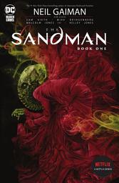 Icon image The Sandman Book One: Issues 1-20