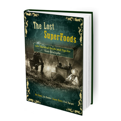 The Lost Superfoods book price, where to buy The Lost Superfoods book