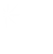 Charity Navigator white logo transparent