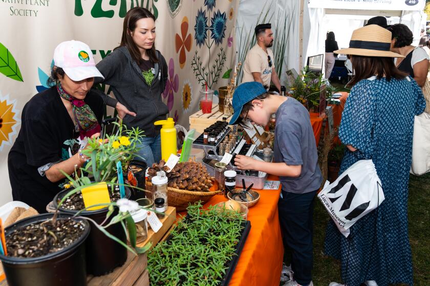 Festival of Books attendees learn about native plants at the 2023 L.A. Times Plants booth.