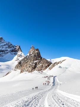 Jungfraujoch Tickets
