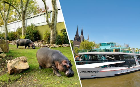 combo (save 5%): cologne zoo + 1-hour panorama cologne cruise with audio guide-1