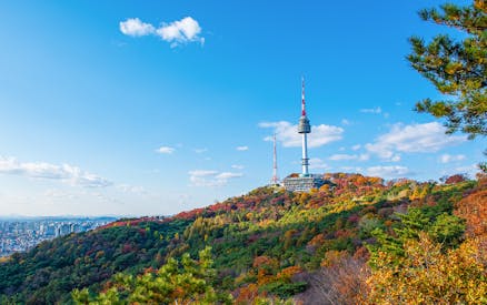 combo: n seoul tower observatory + namsan cable car tickets-2