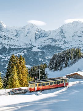 Interlaken to Jungfraujoch Tours