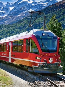 Grindelwald to Jungfraujoch Tours