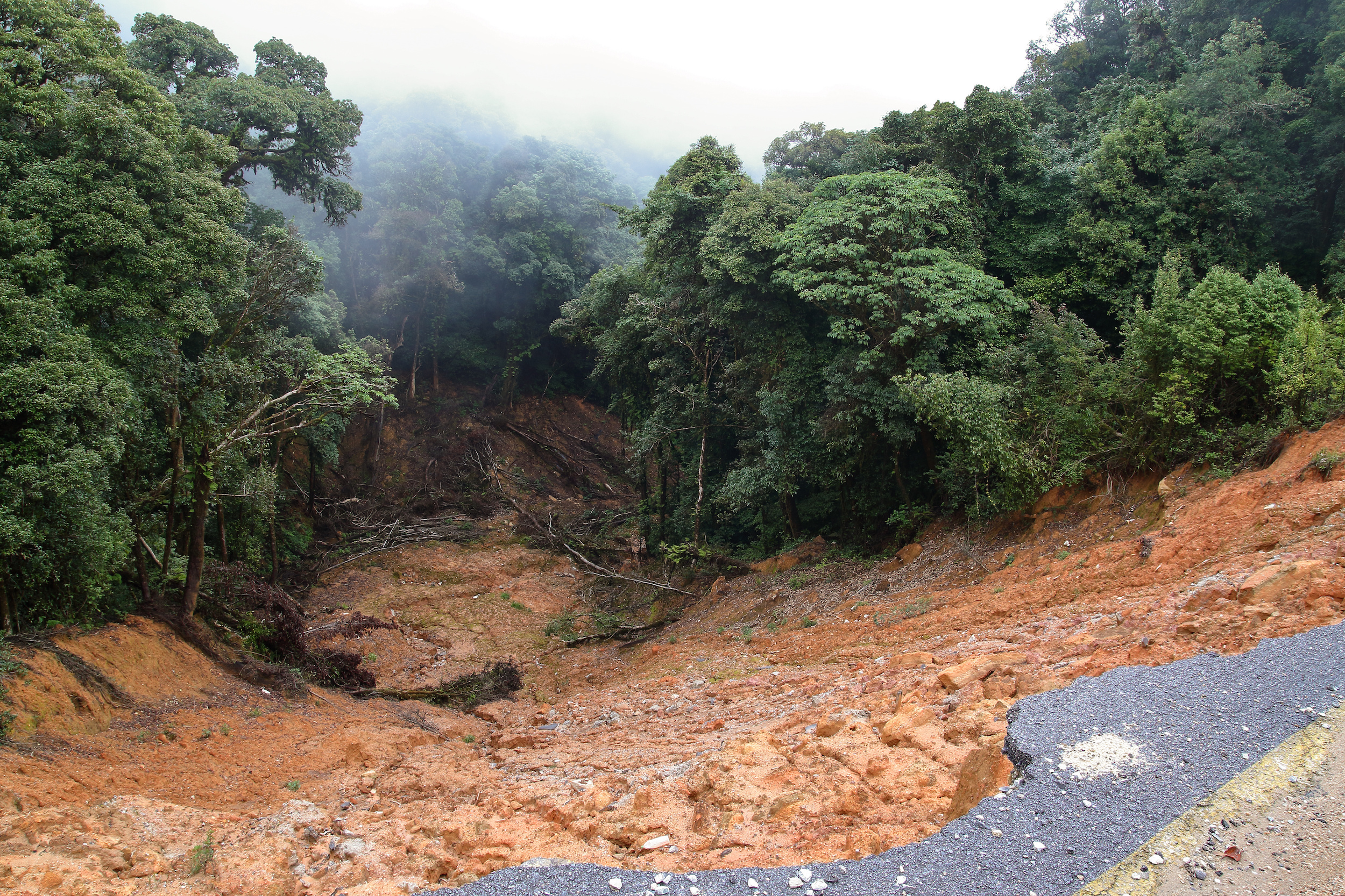 Avec le changement climatique et les actions humaines sur les sols, les glissements de terrain pourraient devenir plus fréquents. © iamtk, Adobe Stock