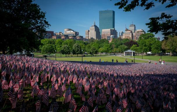 Flags on Boston Common. Photo by Michael Skok on Unsplash.