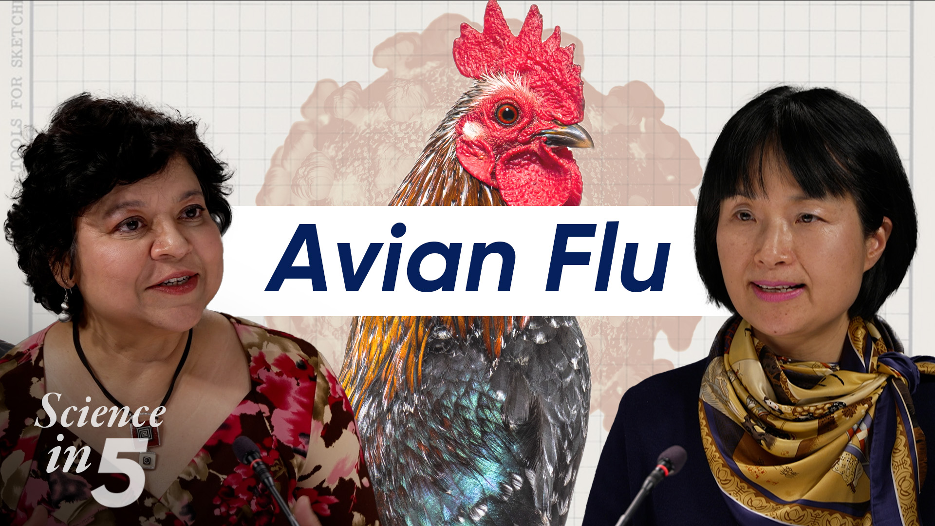 Science in 5 podcast - Avian Flu