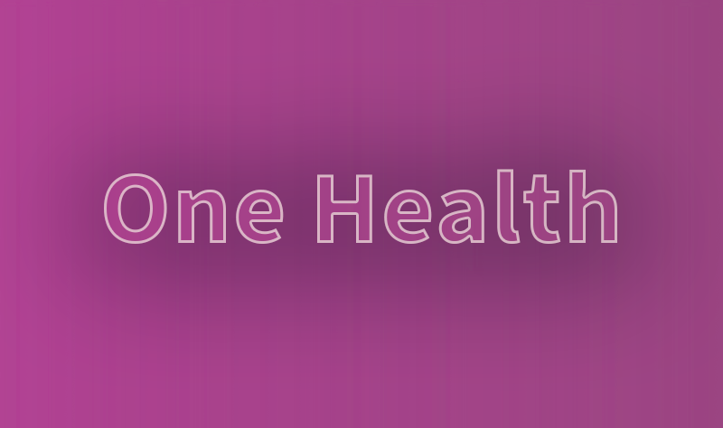 One Health - WHO Europe