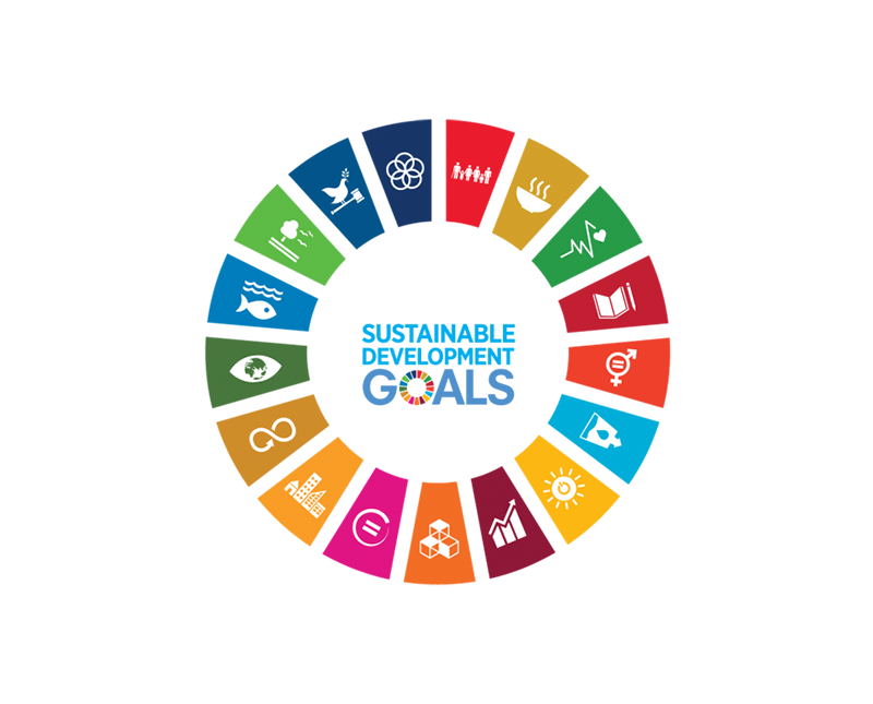 Sustainable Development Goals - thumbnail